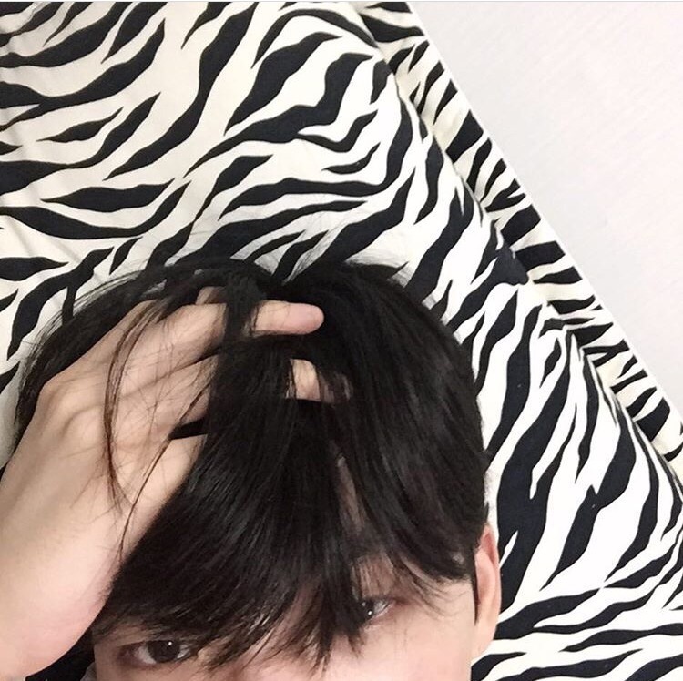 莫春毓凝