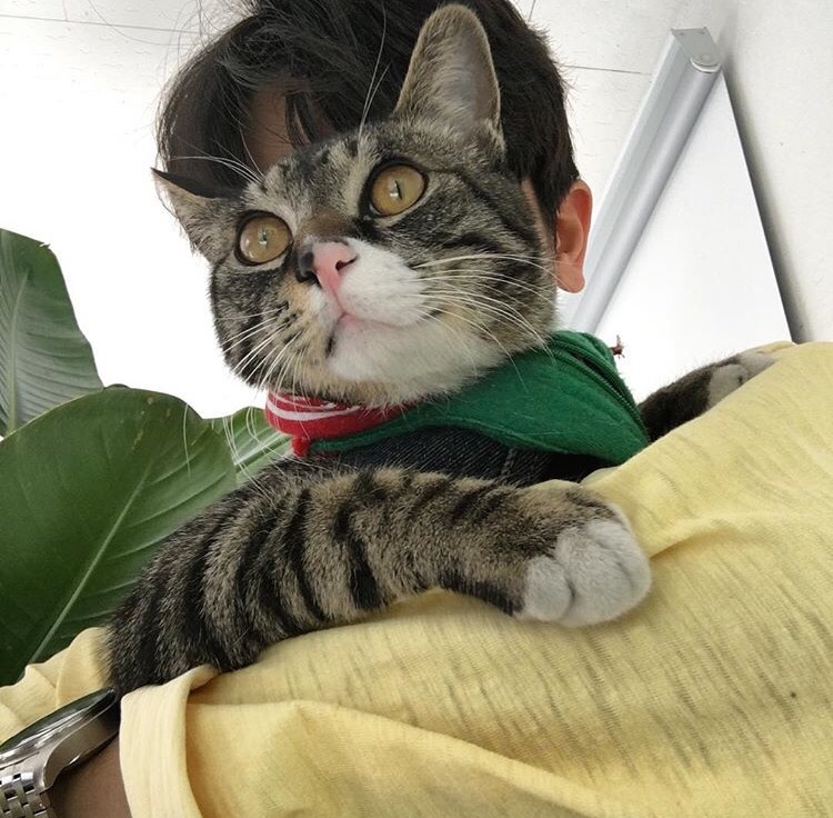 屈盛娴真