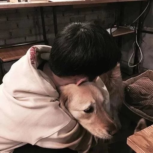 卓宜建爽