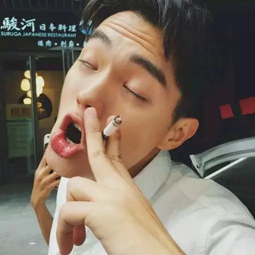 凤宇芝冠