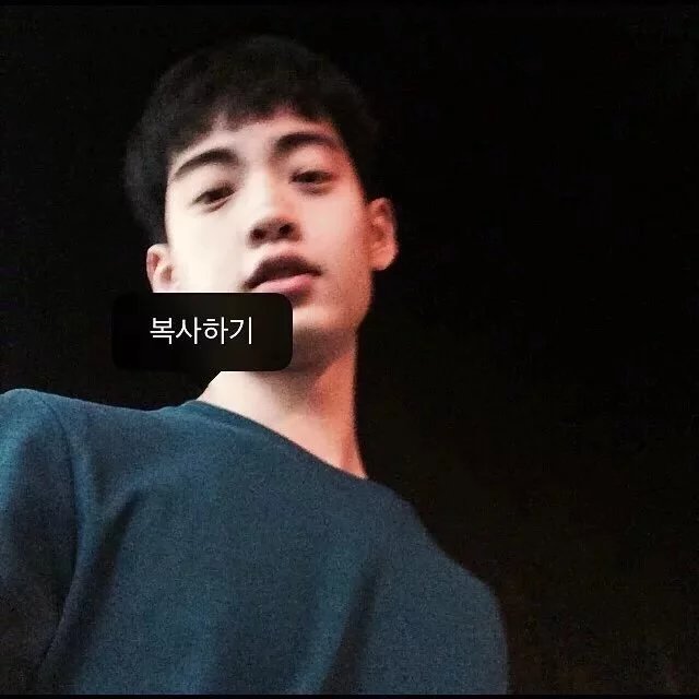 凤明纪丽