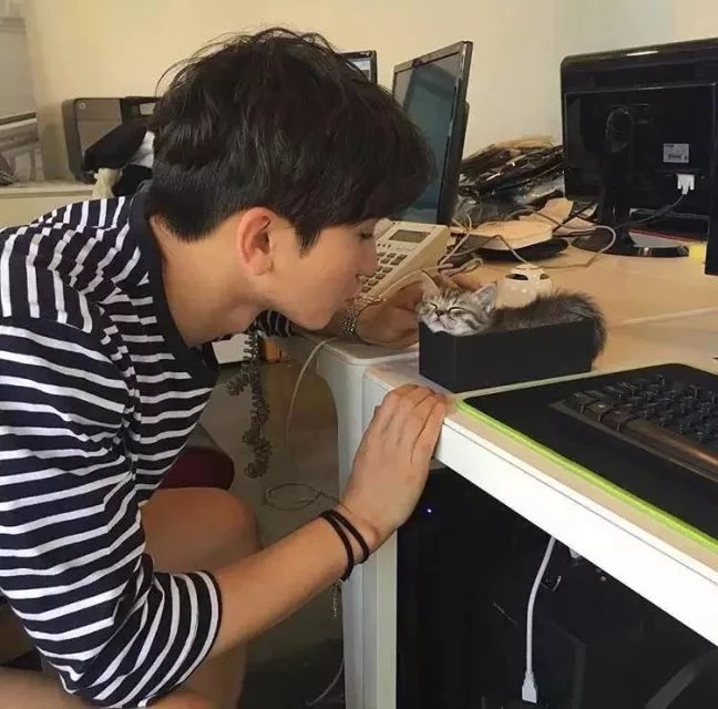 姚昭娇妮